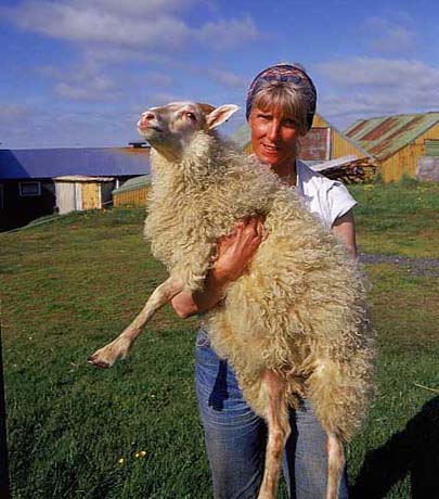 Woman_holding_sheep-01